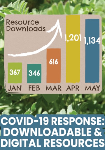 2020-COVID Response